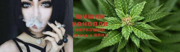 соль ск Арсеньев