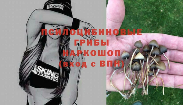 соль ск Арсеньев