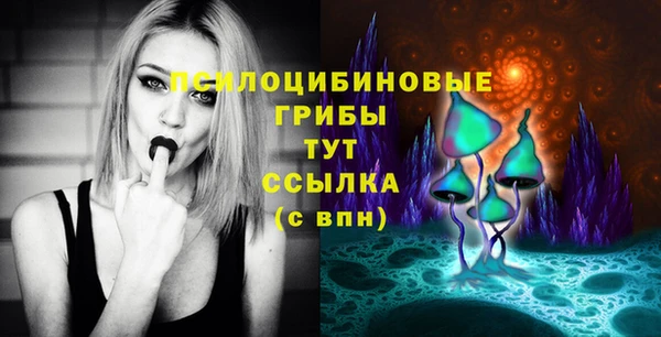прущие грибы Армянск