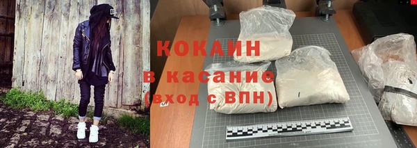 прущие грибы Армянск