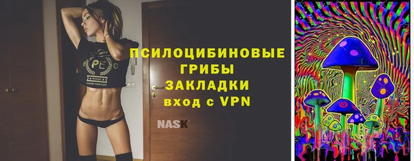 прущие грибы Армянск