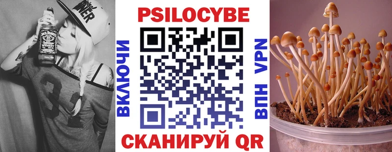 Псилоцибиновые грибы прущие грибы  где найти   Отрадная 
